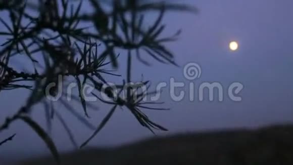 明亮的月亮照耀着漆黑的夜空视频的预览图