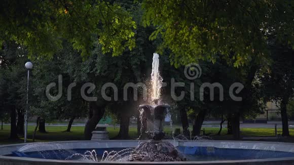 落日余晖中的喷泉石花视频的预览图