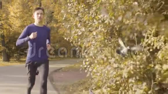 在公园里沿着马路奔跑的年轻人视频的预览图