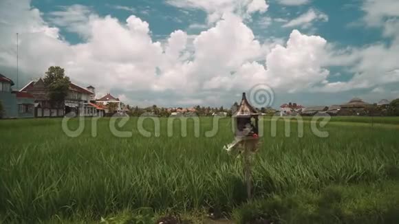 巴厘岛的稻田周围有房子前面有一座祭坛视频的预览图