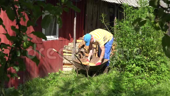 花园工人男男孩从生锈的手推车上卸下木柴4K视频的预览图