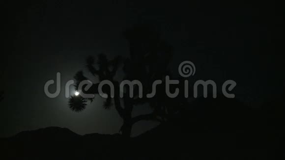 月亮穿过约书亚树的夜晚视频的预览图