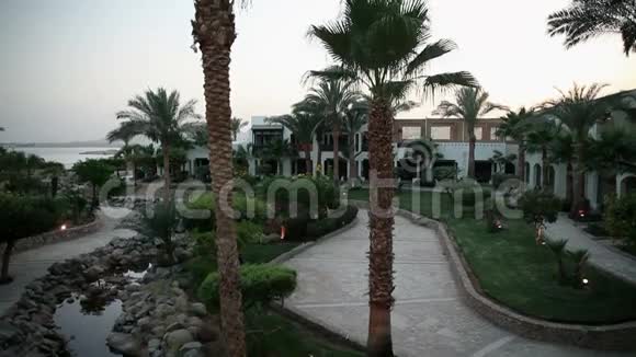 美丽的花园和花在沙姆沙伊赫旅游地视频的预览图
