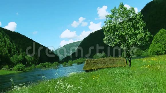 在夏季阳光明媚的日子里用绿色森林覆盖着河流和山脉的绿色田野全景视频的预览图