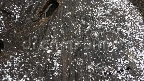 大雪花落在树桩上视频的预览图