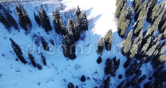 冬季森林景观山区一群人在一条白雪覆盖的小径上在山上骑马视频的预览图