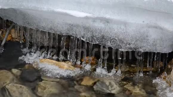 一排干净透明的冰柱悬挂在寒冷的森林小溪水流中视频的预览图