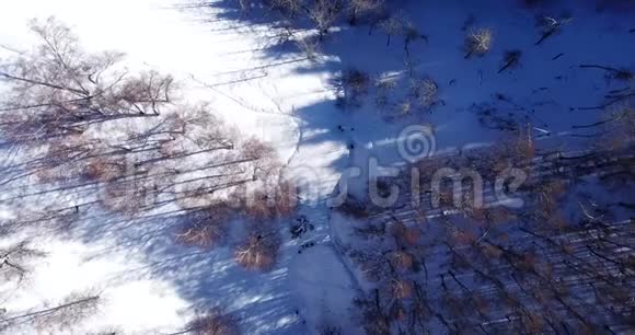 冬季森林景观山区一群人在一条白雪覆盖的小径上在山上骑马视频的预览图