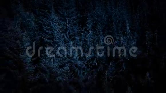 夜间滑翔于夏季森林视频的预览图