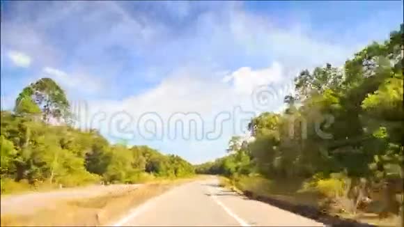 沿树间公路的独立线路进行摄像机移动视频的预览图