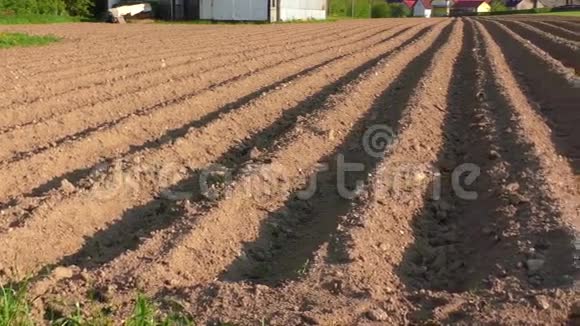 种植马铃薯用犁沟的农田视频的预览图