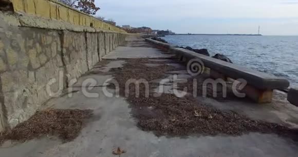 波莫里海堤风暴过后保加利亚视频的预览图