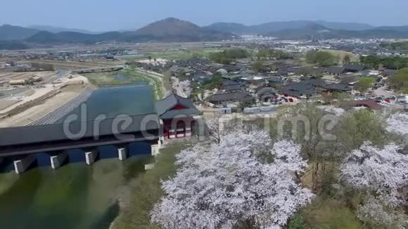 韩国庆州回乡传统村之春视频的预览图