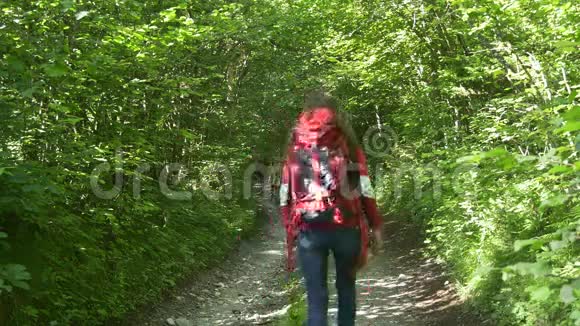 在森林里旅行在徒步旅行途中行走的女人视频的预览图