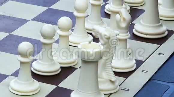 合上白色棋子视频的预览图