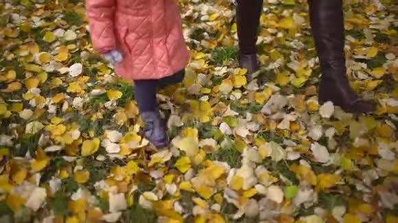 妈妈带着孩子在秋天公园妈妈和孩子在秋天的森林里散步秋天家庭在大自然中行走慢慢慢慢视频的预览图