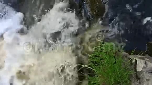 森林河上的瀑布在缓慢的运动关门视频的预览图