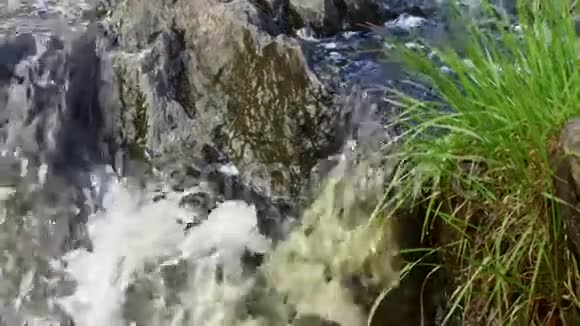 森林河上的瀑布在缓慢的运动关门视频的预览图