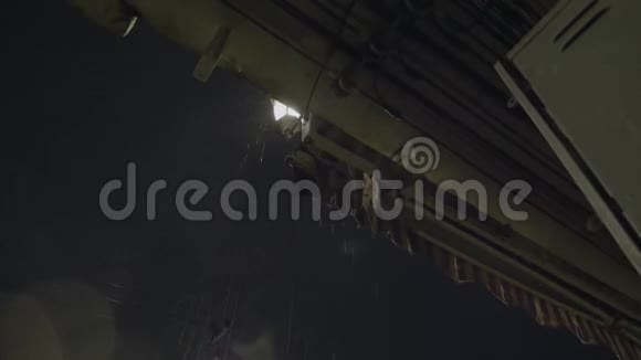 热带雨水在夜间倾泻视频的预览图