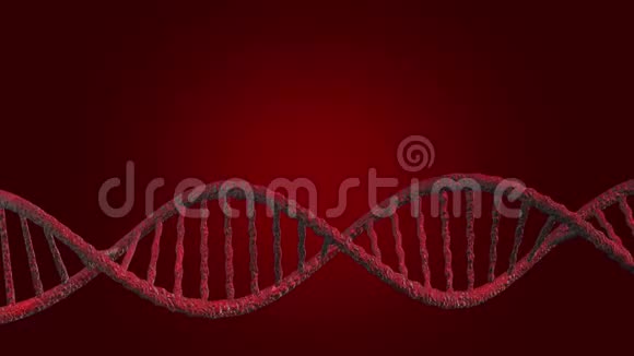 DNA载体红线红色背景视频的预览图