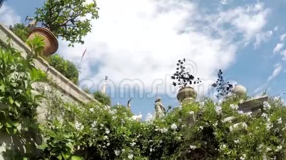 博罗莫宫美丽的花园景色视频的预览图