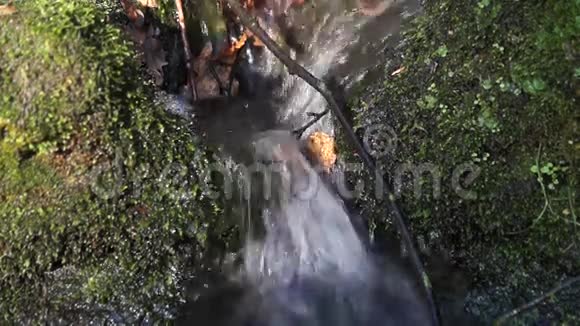 漂浮的水摩丝石视频的预览图