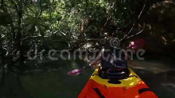 老人在皮划艇上漂流在高高的树枝间视频的预览图