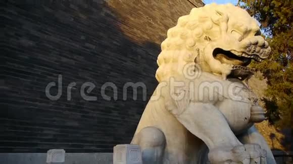 石狮矗立在中国古代建筑的古城墙上视频的预览图