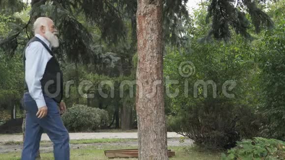 公园树旁英俊的老人视频的预览图