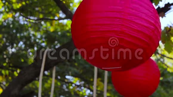 在树枝上挂着红色的圆球视频的预览图