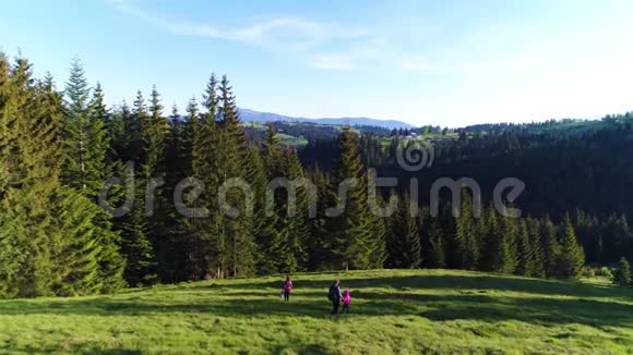 空中射击一家人走着春天在森林里视频的预览图