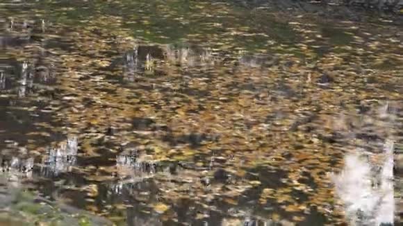 城市公园的秋日视频的预览图