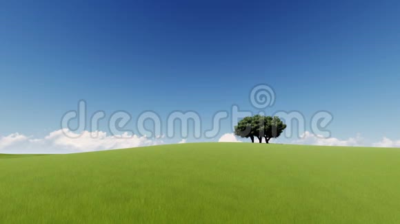 绿色的草甸树和蓝天视频的预览图