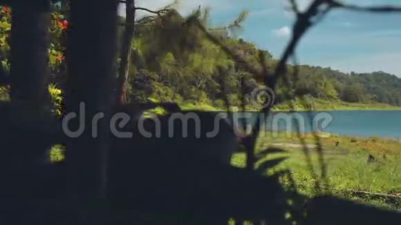 露营车驶向群山环抱的湖泊视频的预览图