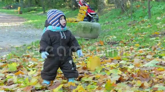 美丽的宝贝正在秋天公园和妈妈一起玩关于落叶的游戏孩子穿着一套西装很热情视频的预览图