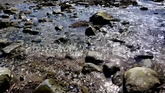 柔和流动的溪流在充分的阳光下视频的预览图