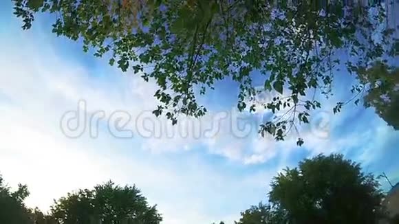 绿色的树顶和天空云卷云舒视频的预览图