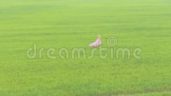 美丽的浪漫女孩站在田野里视频的预览图