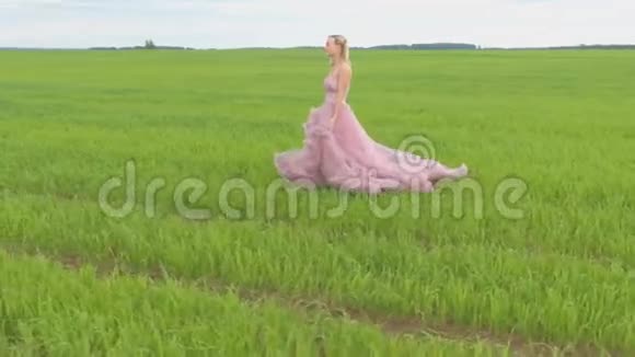 美丽的浪漫女孩站在田野里视频的预览图
