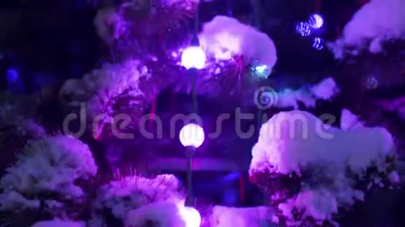 在下雪的冬夜城市广场上有发光的花环和装饰的大型圣诞树特写镜头照相机视频的预览图