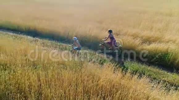 穿裙子的女孩和一个孩子骑自行车沿着麦田用无人机射击从美丽的风景视频的预览图