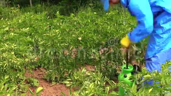 农夫用喷洒工具喷洒除草剂视频的预览图