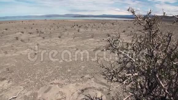 阿根廷海岸线上的沙漠视频的预览图