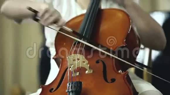 玩大提琴的女孩子视频的预览图