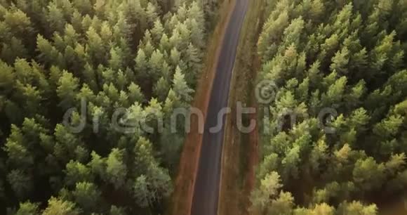 空中拍摄松林与道路在其中镜头跟随道路视频的预览图