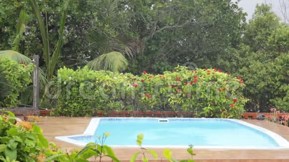 塞舌尔热带倾盆大雨上的游泳池视频的预览图