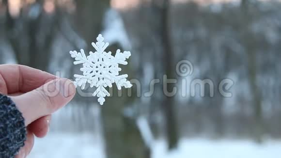 雪或冬天的概念手握雪花视频的预览图