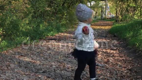 秋天带着苹果的漂亮小女孩走上了小路视频的预览图