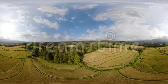 印度尼西亚水稻梯田和农业用地vr360视频的预览图