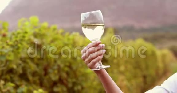 女酿酒师用白色酒杯旋转视频的预览图